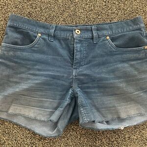 Carve Designs Dogtown 4" shorts